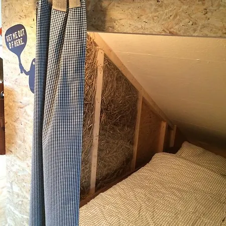 Apartment Ferienwohnung